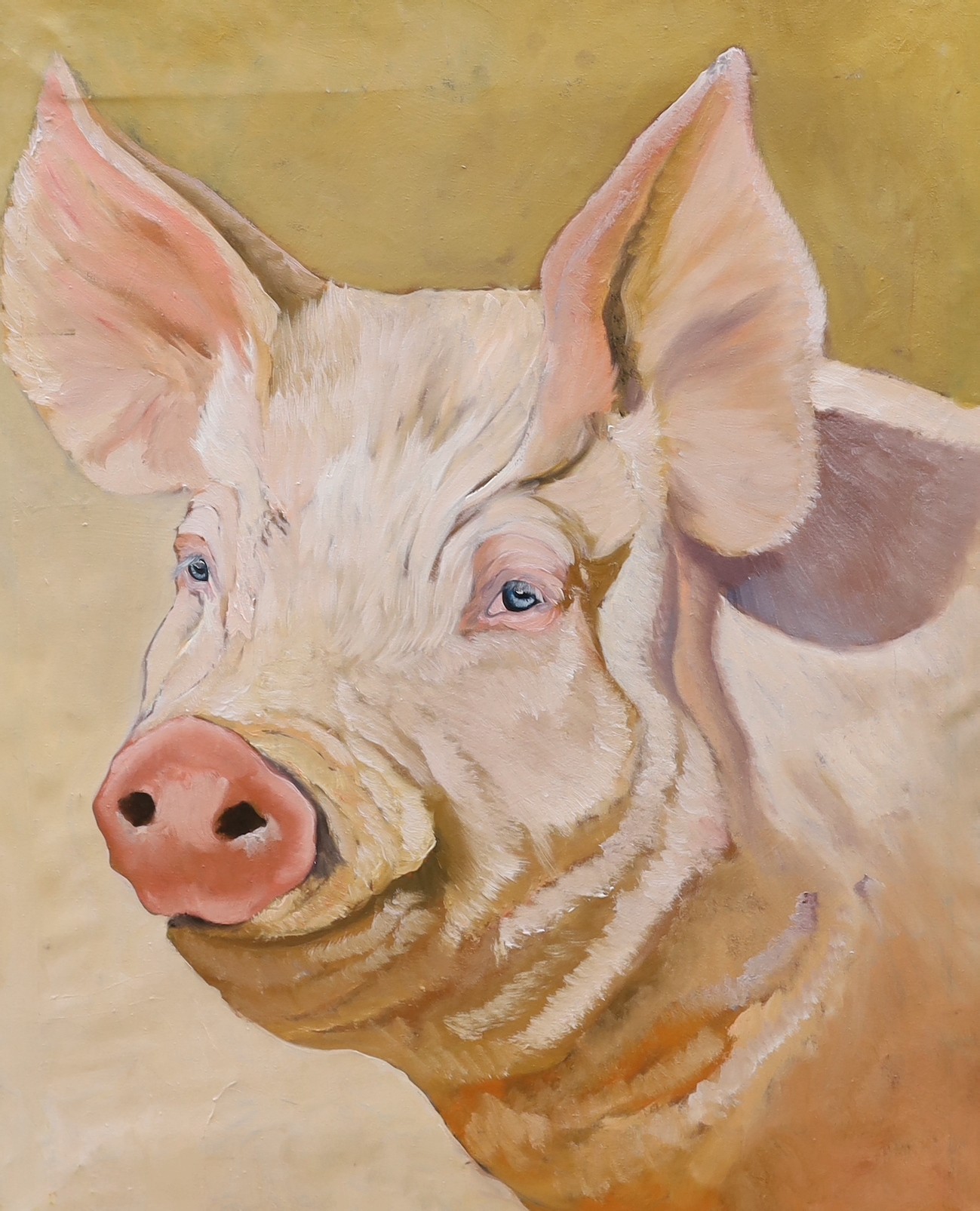 Modern British, oil on canvas, Head study of a pig, 82 x 66cm, unframed